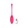 Love Egg MINA Astral 10 Function Remote Control