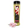 Shunga Massage Oil Cherry Blossom