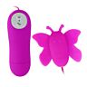 Butterfly Clitoris Stimulator BAILE 12 Speeds Remote Control