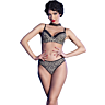 Chilirose CR 4727 Bikini Set - Wild Animal Print