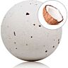 TALOKA Coconut Bath Bomb with Rose Petals for Relaxation