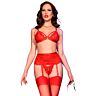 Lingerie Set CHILIROSE CR 4895 Five-Piece Set