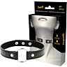 Bondage Accessory Coquette Chic Desire Vegan Leather Collar