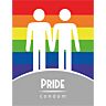 Condom Dildos Assorted Pride - Individual use