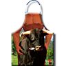Diablo Picante Bull Apron with Fun and Erotic Illustrations