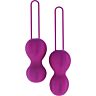 Vaginal Balls Nomi Tang IntiMate Plus for Kegel Training