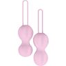 Vaginal Balls Nomi Tang IntiMate Plus for Kegel Training