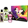 Shunga Kits Fruity Kisses Couples Kit