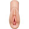 Masturbator PDX PLUS Perfect Pussy Heaven with Realistic Texture