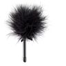 Feather Duster Secret Play Mini for Sensational Sensations