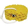 Vibrating Foam Sea Sponge by Sex in the Shower