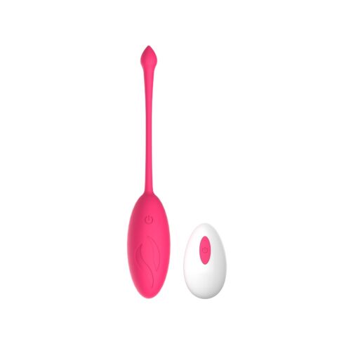 Love Egg MINA Astral 10 Function Remote Control