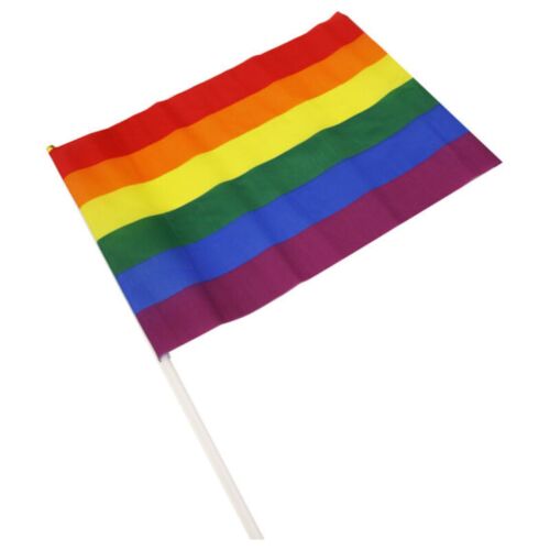 Large Pennant PRIDE with LGBT Rainbow Flag