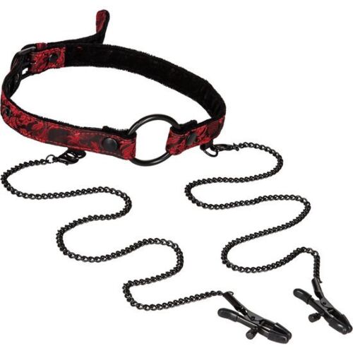 Scandal Bondage Gag with Clips for Sensational Restraint