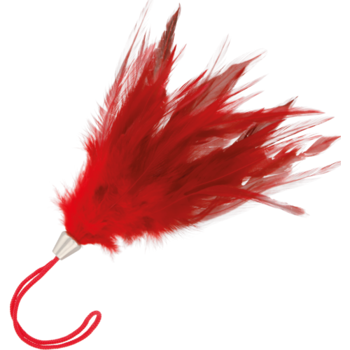 Bondage Accessory Darkness Red Stimulating Pen for Sensual Play