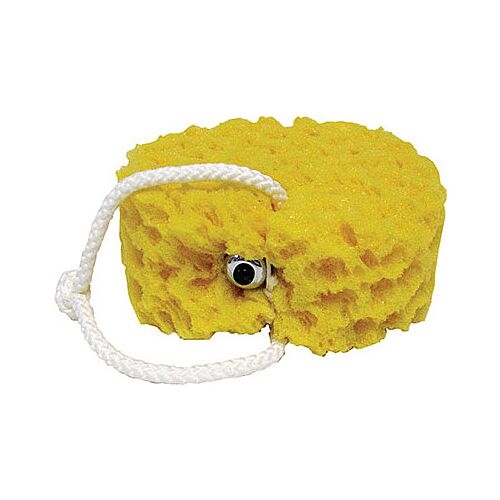 Vibrating Foam Sea Sponge by Sex in the Shower