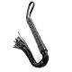 BDSM Whip Fetish Fantasy Series First-Time Flogger