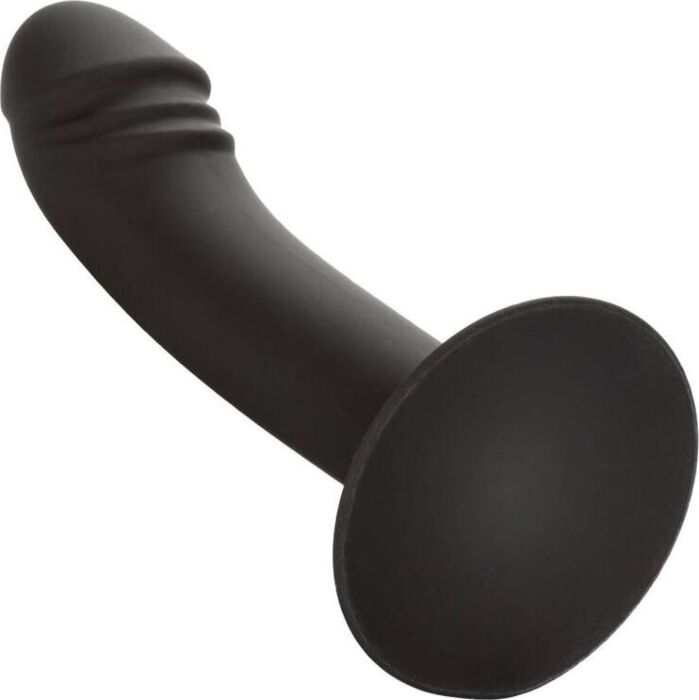 Dildo Anal Calexotics Curved Anal Stud Succión Dildo Anal Calexotics Curved Anal Stud Succión