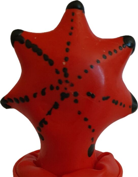 Preservativo Decorativo Condomerie Estrella de Mar Preservativo Decorativo Condomerie Estrella de Mar